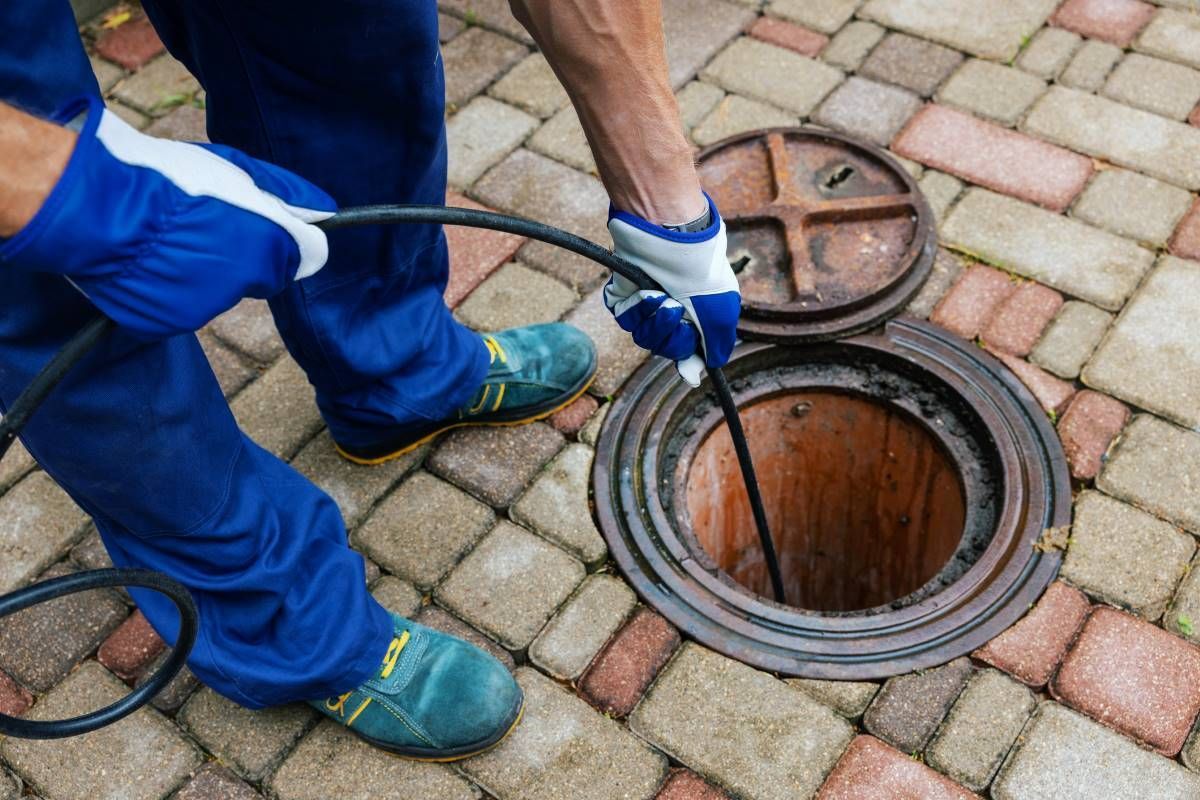 clearing blocked drains tree roots